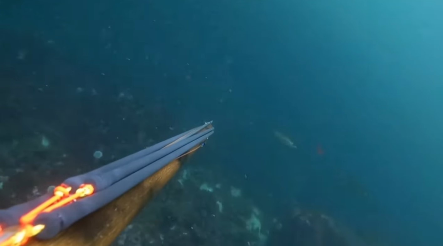 Speerfischen auf Tustna